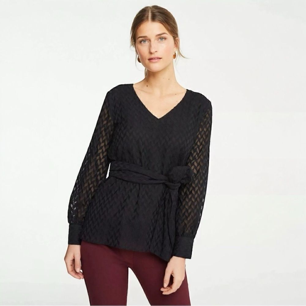 Ann Taylor Blouse Semi-Sheer Long Sleeve Black Size Small NWT